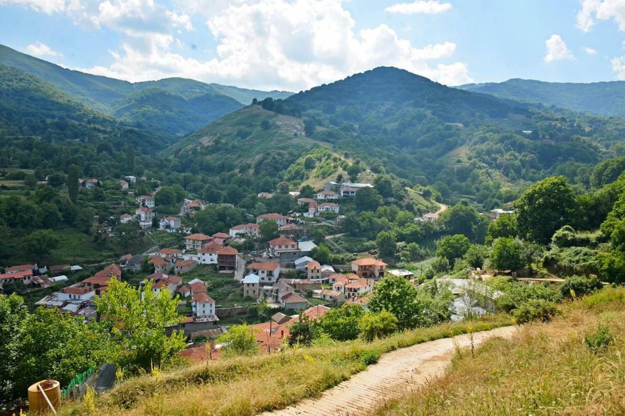 Traditional Stone Villa "To Petrino" Флорина Экстерьер фото