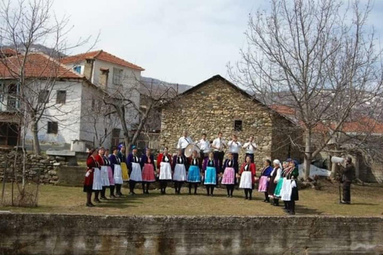 Traditional Stone Villa "To Petrino" Флорина Экстерьер фото